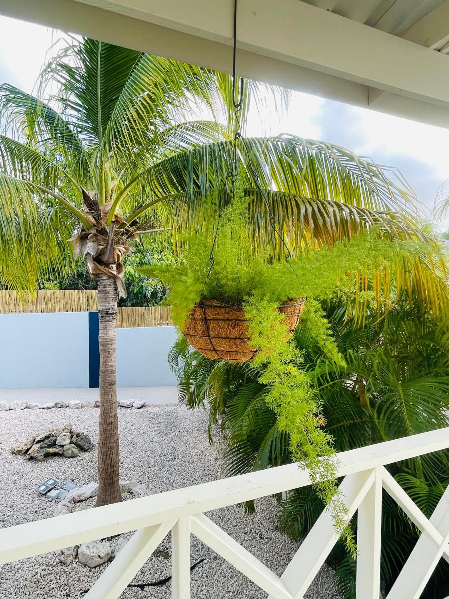 Mini Resort Kaya Verdi 威廉斯塔德 外观 照片