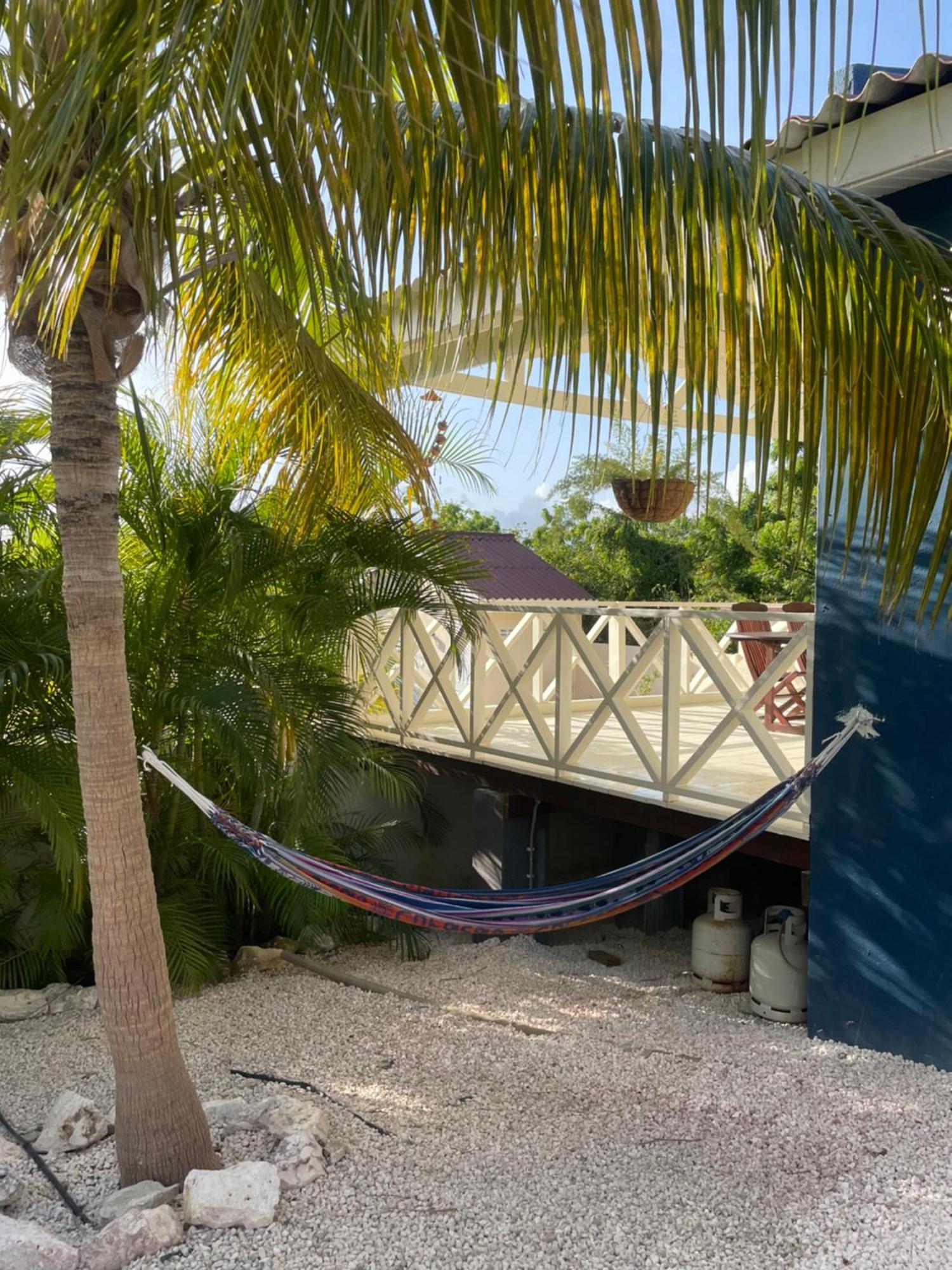 Mini Resort Kaya Verdi 威廉斯塔德 外观 照片