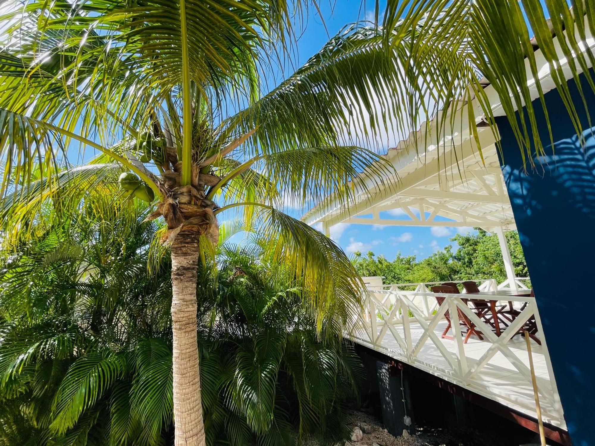 Mini Resort Kaya Verdi 威廉斯塔德 外观 照片